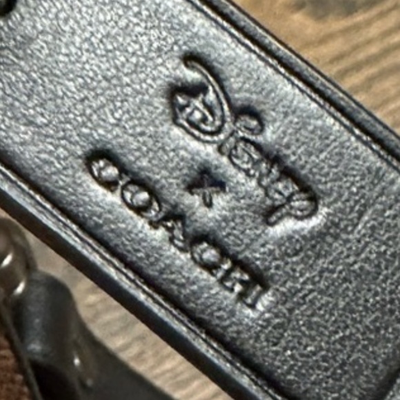 Coach Disney Dark Fairytale Spooky Eye Extra Large Wristlet Pouch NWOT Rare - Picture 8 of 12